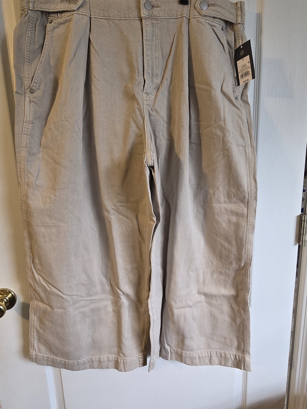 Universal Thread Wide-Leg Pleated Jeans in Beige